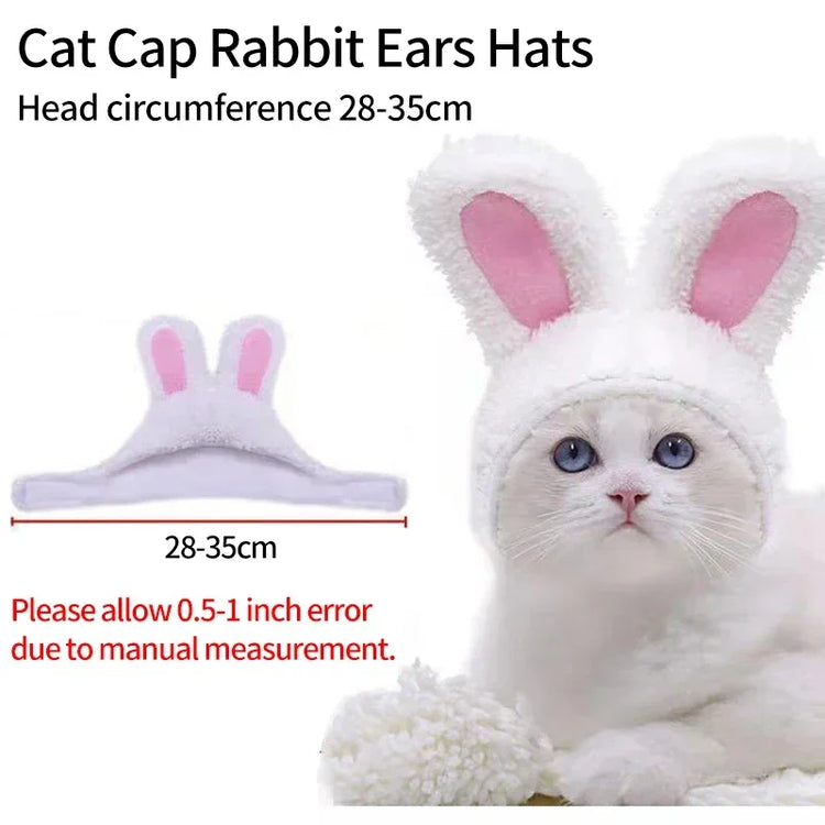 Cute Lion Mane Wig Hat for Cats/Small Dogs | Funny Pet Costume For Halloween, Christmas & Parties