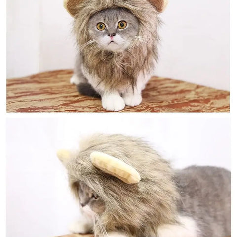 A HAT FOR CAT | Cute Costume Cap | Adjustable Warm Hat | Soft Cat Headwear | Small Pet Outfit | Funny Cat Hat | Pet Accessories