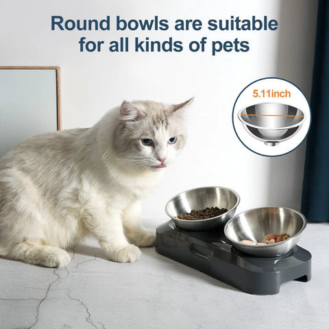 Cat Bowl | Lovely Creative Inclined Feeder | Kitten Puppy Food Bowl | Stainless Steel Pet Dish | 15° Tilt Neck Protector | Anti-Slip Dog Cat Feeder
