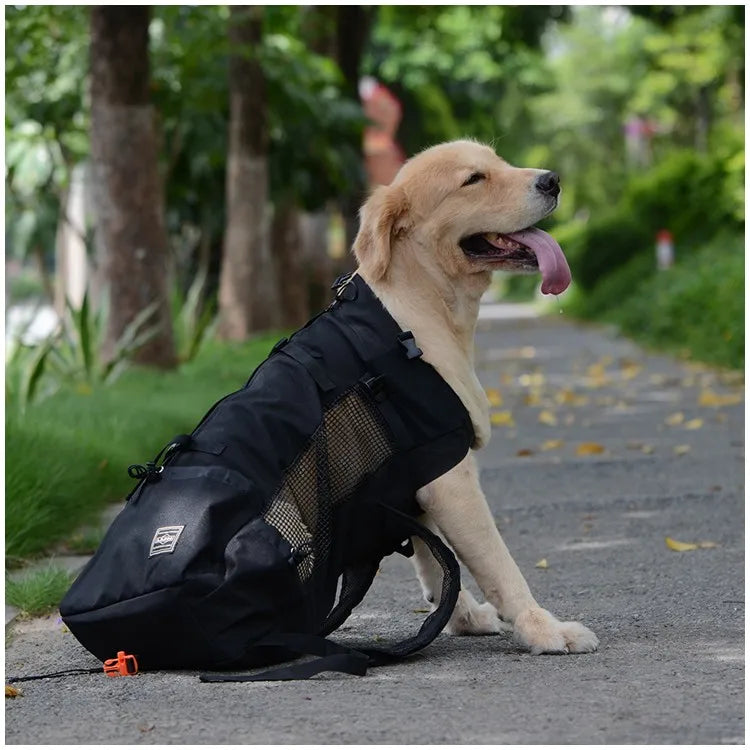 Breathable Outdoor Pet Carrier Backpack – Hiking & Travel Mesh Backpack for Dogs