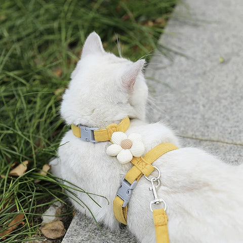Cat Harness and Leash Sets | Adjustable Dog Harness for Small Dog | Leash Breathable Pet Harness | Out Walking Dog Strap