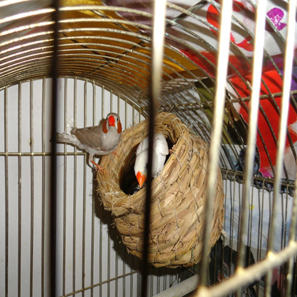 Natural Handmade Straw Bird Nest – Cozy Pigeon & Parrot Nest for Small Pet Birds | Eco-Friendly Cage Accessory (9x12cm)
