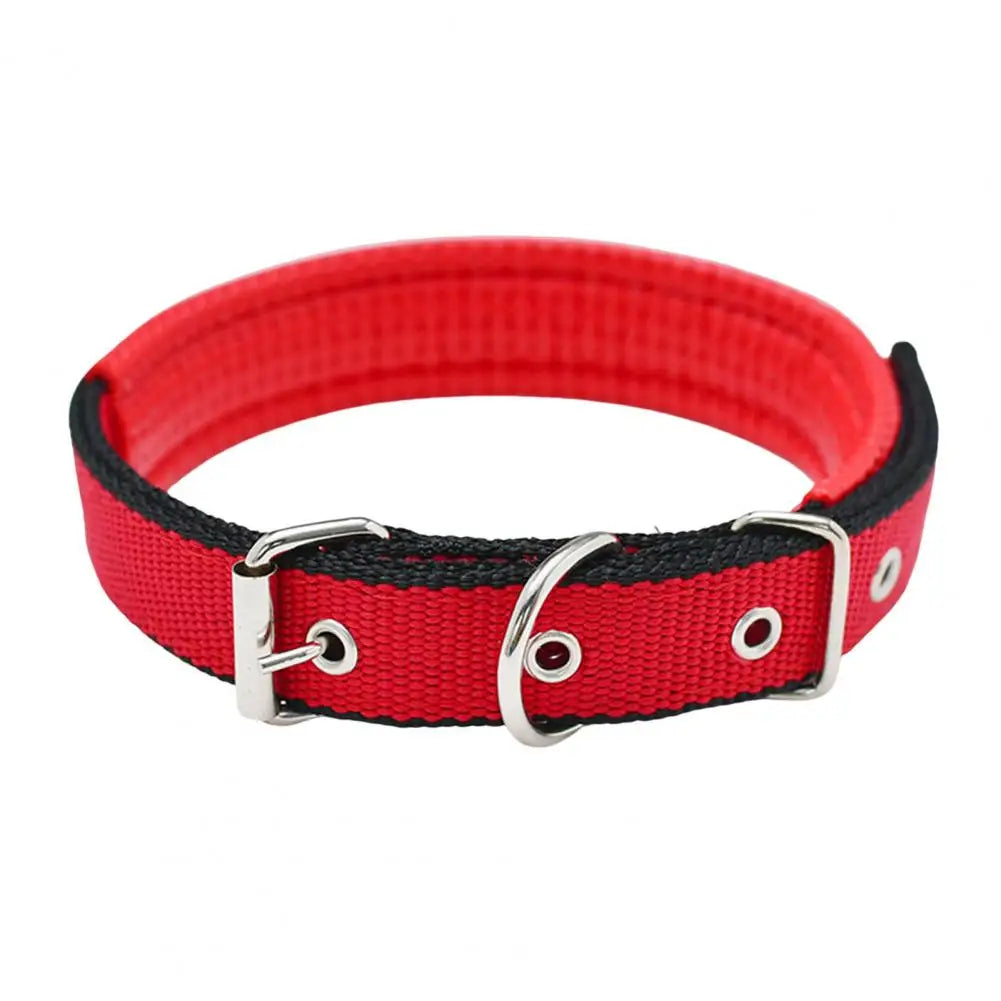 Adjustable Nylon Pet Collar with Traction Ring – Durable and Comfortable Dog Neck Strap