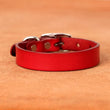 Genuine leather dog collar and leash set – durable and comfortable for small to medium dogs