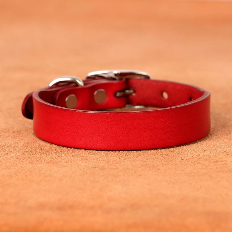Genuine leather dog collar and leash set – durable and comfortable for small to medium dogs