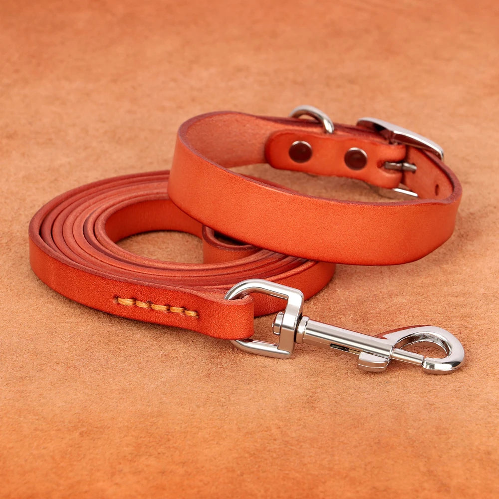 Genuine leather dog collar and leash set – durable and comfortable for small to medium dogs