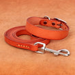 Genuine leather dog collar and leash set – durable and comfortable for small to medium dogs