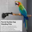 Wood Parrot Perch | Non-Slip Interactive Bird Window Perch with Suction Cups for Small to Medium Birds