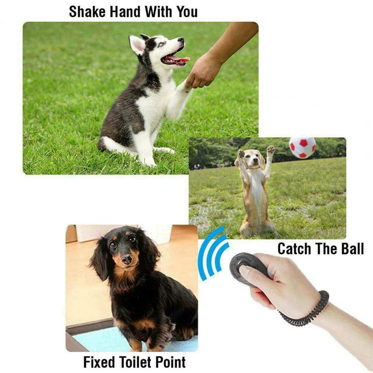 Dog Training Clicker with Adjustable Wrist Strap | Portable Pet Trainer Tool