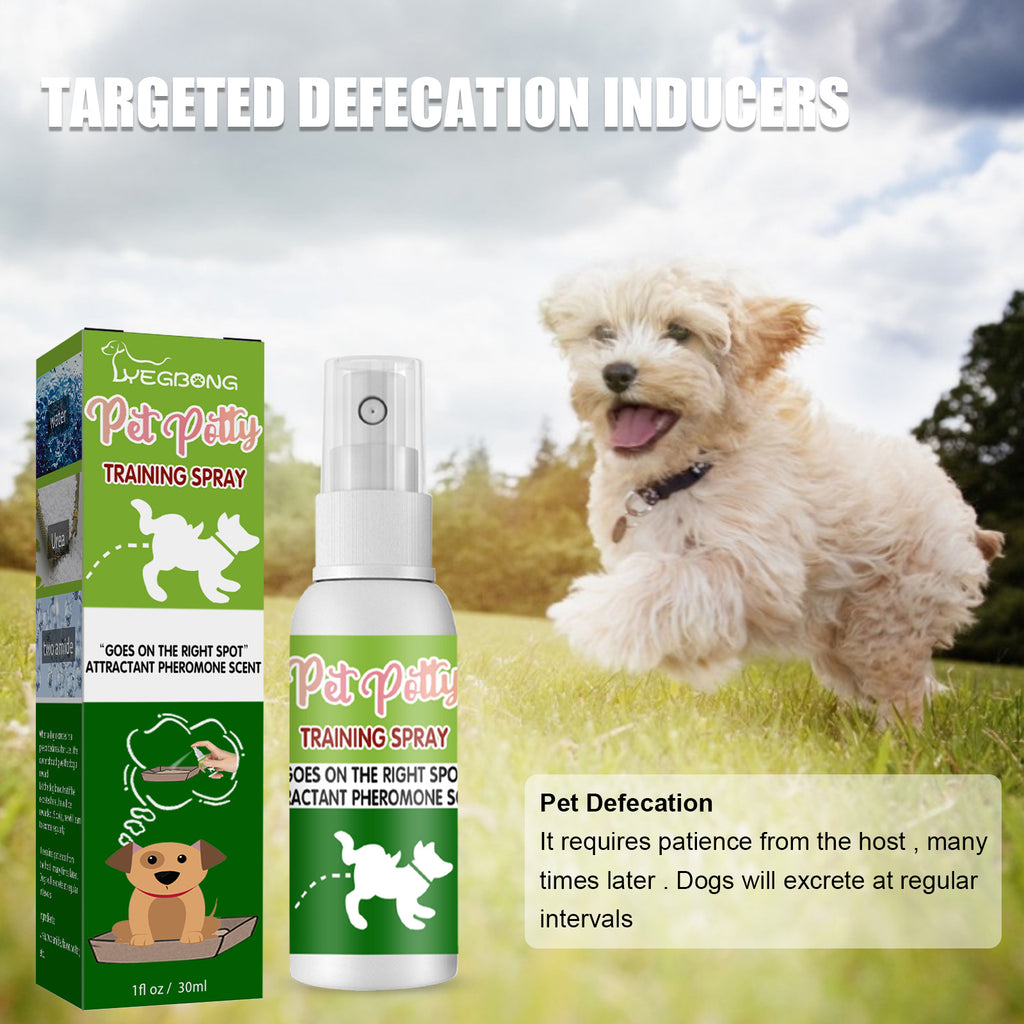 Pet Toilet Training Spray  30ml | Dog /Cat Potty Trainer | Natural Extract Formula