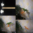 Parrot Perch Stand | Wood Hanging Rack Toy for Bird Cage