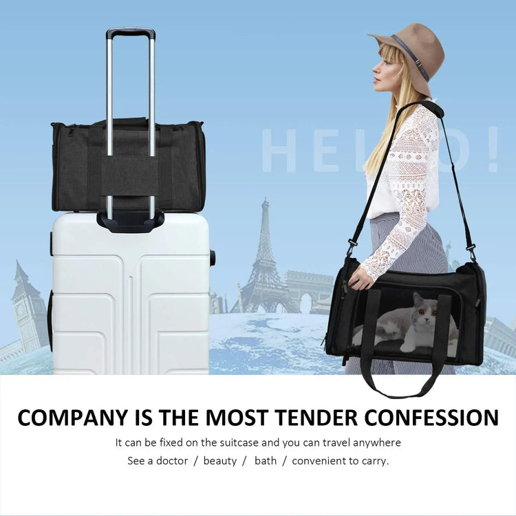 Airline Approved Soft-Side Pet Carrier Bag for Small Dogs and Cats – Breathable, Lightweight Travel Backpack