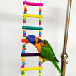 Bird Parrot Toys | Colorful Hanging Cage Climbing Ladders with Natural Wood | Parrots Suspension Bridge Swing Toys | Bird Toy Supplies