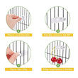 1/6/12pcs Bird Food Holder | Parrot Feeding Clip | Fruit Vegetable Clamp | Cuttlefish Bone Feeder | Cage Mount Tool for Pet Birds
