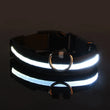 LED Safety Collar For Small And Medium Dogs - Adjustable, Flashing Glow For Night Walking
