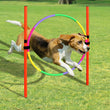 Portable Dog Agility Training Set – Outdoor Jumping & Obstacle Equipment