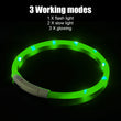 LED Night Safety Dog Collar – Rechargeable, Weatherproof, Adjustable