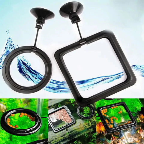 Aquarium Feeding Ring Fish Tank Floating Food Tray with Suction Cup – Square Design