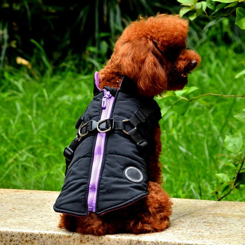 Dog Coat with Harness Winter Fleece Zipper Jacket Small Dog Clothes Winter Cat Apparel Lightweight for Indoor Outdoor Pet Gifts