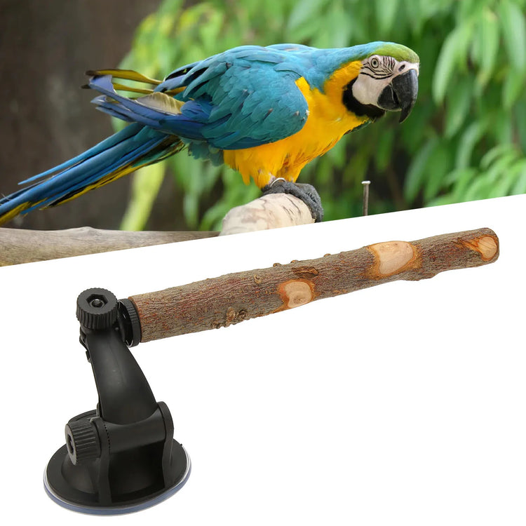 Wood Parrot Perch | Non-Slip Interactive Bird Window Perch with Suction Cups for Small to Medium Birds