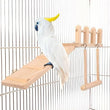 Bird Perches Platform Swing Climbing Ladder Toy | Parrot Cage Accessories | Wooden Playing Gyms for Birds | Exercise Stands Set