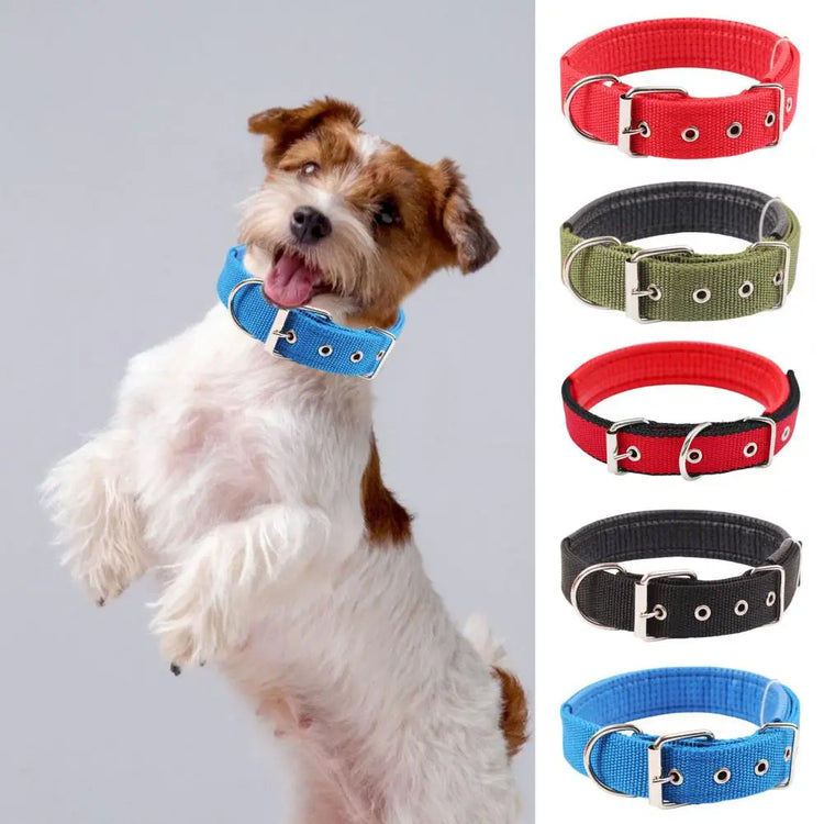 Adjustable Nylon Pet Collar with Traction Ring – Durable and Comfortable Dog Neck Strap