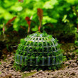 Aquarium Moss Ball Filter – Aquatic Plant Holder and Water Purifier for Fish Tanks and Shrimp Cylinders