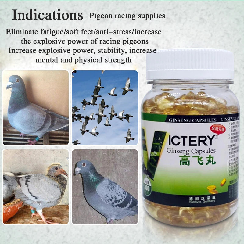 NEW Pigeon racing to enhance explosive power, eliminate fatigue, quickly recover, and return home 300 pigeon health supplements