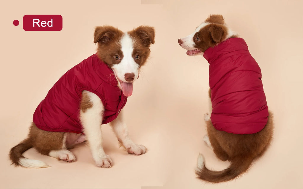 Winter Dog Clothes | Outdoor Cold-Proof Warm Dog Jacket with Fleece Cotton Lining | Chihuahua, French Bulldog, Puppy Clothing Coat