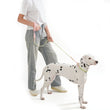 Cute Candy Style Nylon Dog Collar – Waterproof, Reflective, and Customizable