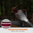 Reflective Padded Dog Collar – Durable Nylon with Double D Ring and Safety Buckle