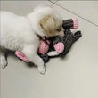 Plush Dog Toy Animals Shape Interactive Dog Chew Toys Corduroy Dog Toys for Small Large Dogs Puppy Pets Training Accessories