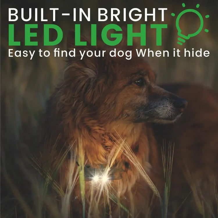 Waterproof Electric Dog Training Collar with Remote – Rechargeable Anti-Bark Device for All Dog Sizes