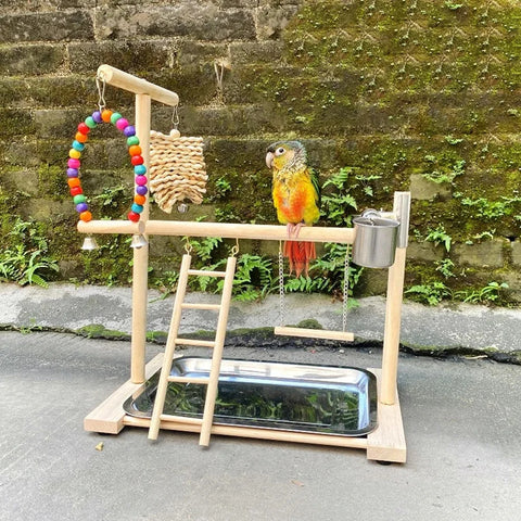 Bird Playground Perch Stand | Swing, Feeding Cups, Climbing Ladder | Parrot Playstand Exercise Playgym for Parakeet, Cockatiel, Lovebird