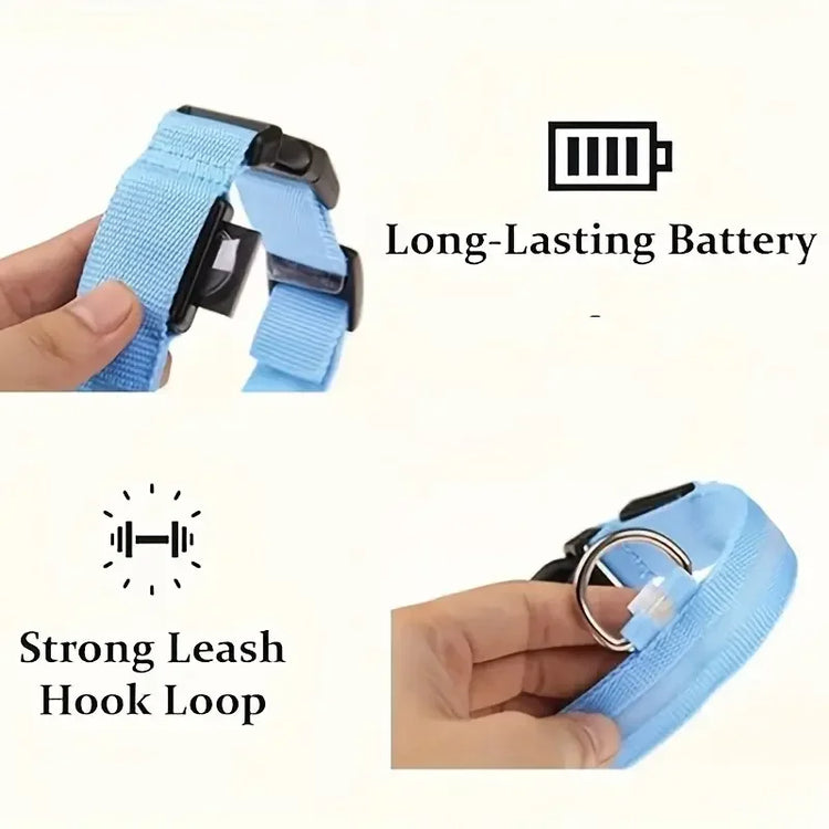 LED Light-Up Dog Collar – High Visibility Safety Collar for Night Walks (Battery Powered)
