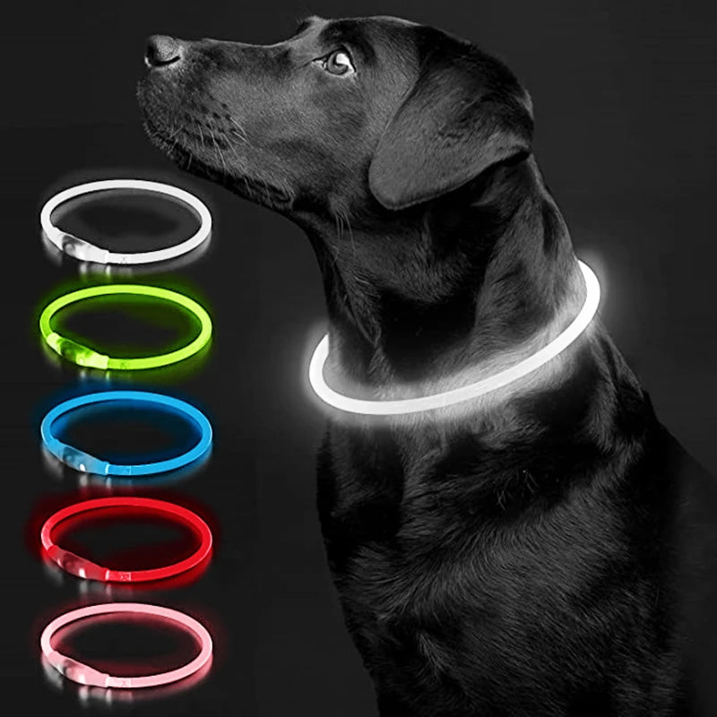 LED Luminous Dog Collar USB Charging Flashing Glowing Safety Anti-Lost Collar for Cats and Dogs          Ask ChatGPT