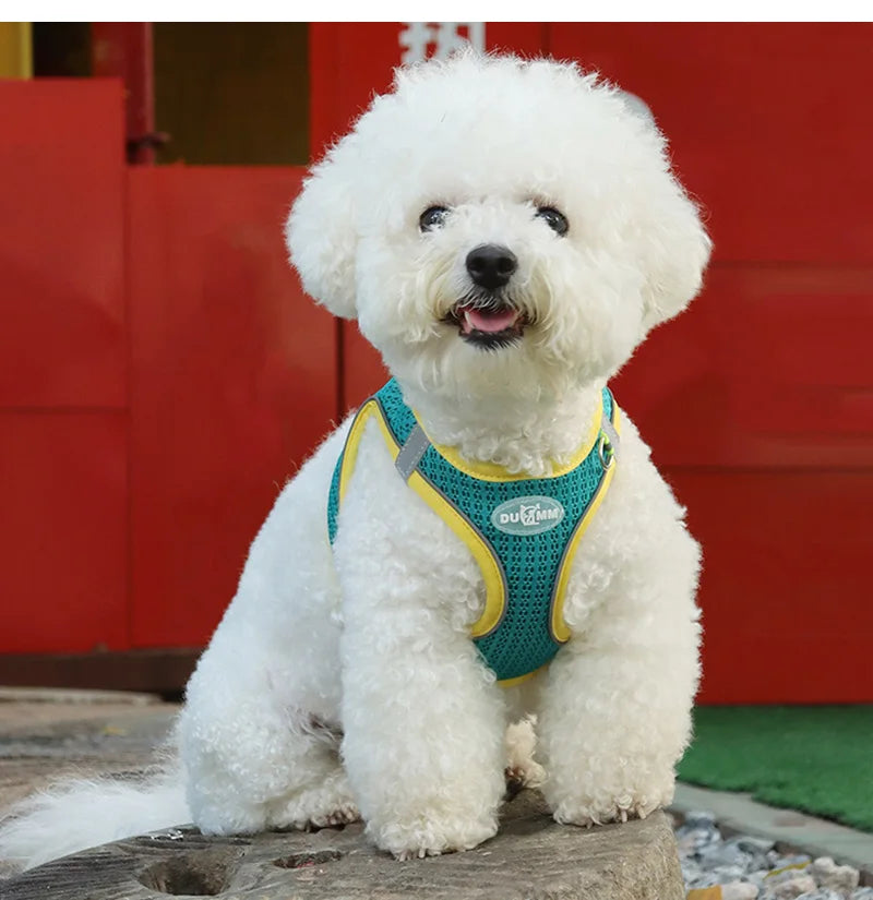 Pawstrip Soft & Reflective Dog Harness with Leash – Comfortable Vest Harness for Small Dogs