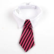 Gift Pet Dog/Cat Formal Necktie | Tuxedo Bow Tie - Black and Red Collar for Dog/Cat | Pet Accessories for Wedding, Holiday, and Party