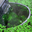 Fish Tank Floating Plant Interceptor Organize and Separate Different Plants Fence for Home Aquarium Decor