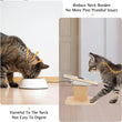 Elevated Cat Dog Bowls | 15° Tilted Raised Pet Bowls | Double Wooden Stand | Stainless Steel Food & Water Bowls | For Cats & Small Dogs | Pet Supplies