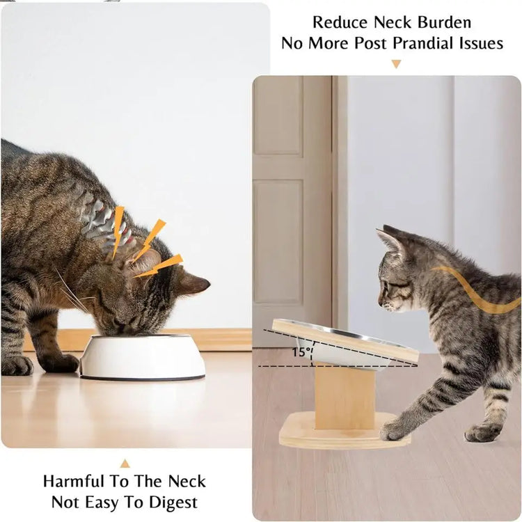 Elevated Cat Dog Bowls | 15° Tilted Raised Pet Bowls | Double Wooden Stand | Stainless Steel Food & Water Bowls | For Cats & Small Dogs | Pet Supplies