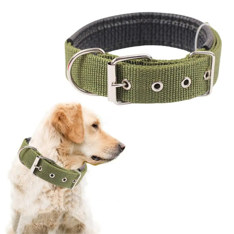 Adjustable Nylon Pet Collar with Traction Ring – Durable and Comfortable Dog Neck Strap
