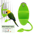 Parrot Food Feeder | Hanging Cage Feeding Toy with Perch | Fun Plastic Bird Feeder Frame | Pet Accessories for Parakeets, Conures, Lovebirds & More
