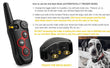 2-in-1 Dog Training & Anti-Bark Collar – Remote Control Shock Collar with Beep, Vibration & Static Modes