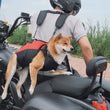 Horizontal Dog Backpack Carrier – Breathable Mesh Pet Travel Bag for Small Dogs, Hands-Free Outdoor Hiking & Cycling