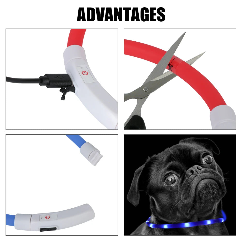 LED Night Safety Dog Collar – Rechargeable, Weatherproof, Adjustable