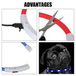 LED Night Safety Dog Collar – Rechargeable, Weatherproof, Adjustable