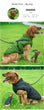 Large Pet Dog Jacket With Harness Winter Warm Dog Clothes For Labrador Waterproof Big Dog Coat Chihuahua French Bulldog Outfits
