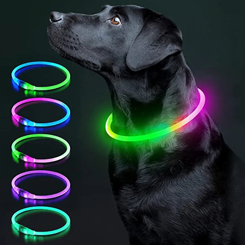 LED Luminous Dog Collar USB Charging Flashing Glowing Safety Anti-Lost Collar for Cats and Dogs          Ask ChatGPT