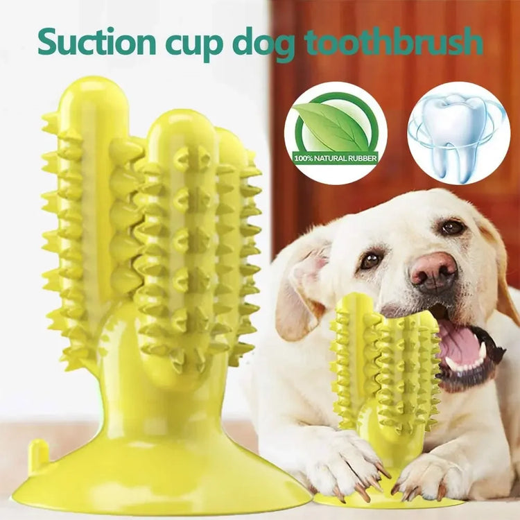 Interactive Dog Toothbrush Toy – Durable Chew Toy for Teeth Cleaning and Training